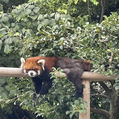 【鯖江WG】鯖江市で2泊3日のフィールドワークを実施しました